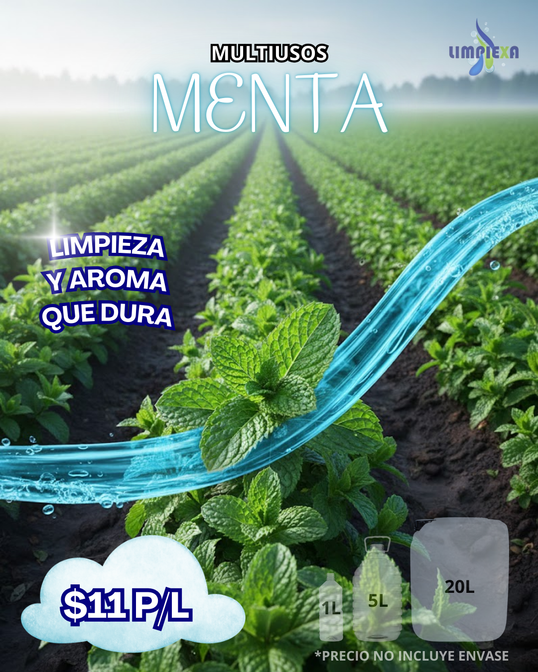 multi menta 1x1